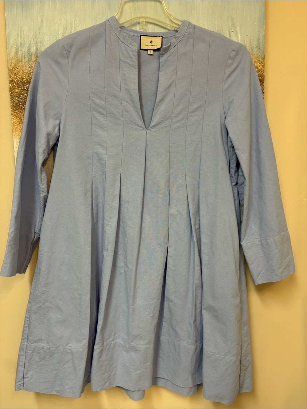 Tuckernuck Pale Blue Pleated Tunic Dress